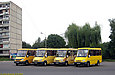 Микроавтобусы БАЗ-2215 маршрута 266э на конечной остановке "Улица Командарма Уборевича"