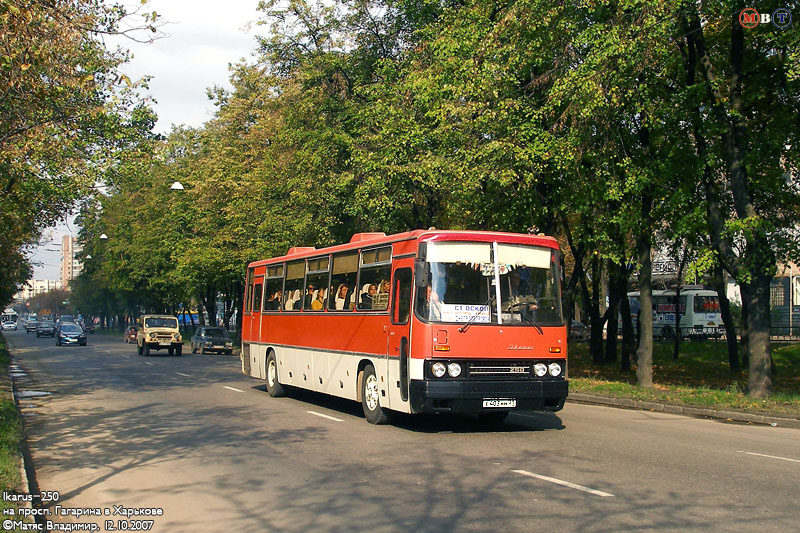 Ikarus-250, гос.# е403нн|31, маршрут Старый Оскол - Днепропетровск, на проспекте Гагарина в районе улицы Одесской