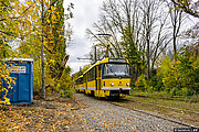 Tatra-T3R.P #244-281 23-         " "