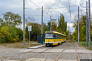 Tatra-T3R.P #244-281 23-          " "
