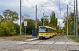 Tatra-T3R.P #244-281 23-          " "