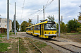 Tatra-T3R.P #244-281 23-          " "