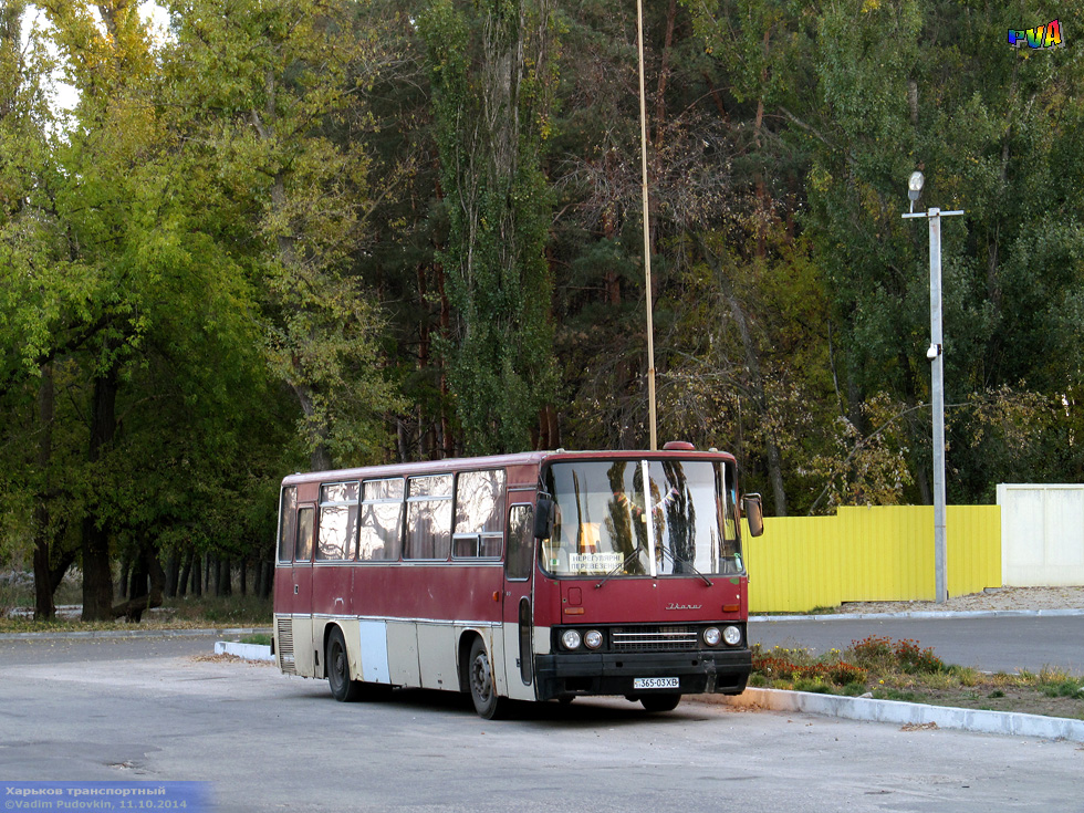 Ikarus-256 гос.# 365-03ХВ на улице Баварской в районе проспекта Постышева