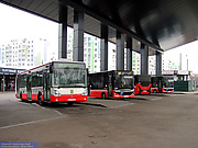 Irisbus Citelis 12M гос.# АХ6705МК, Karsan Atak гос.# АХ2645KT, гос.# АХ1278KT и гос.# АХ0613KT 204-го маршрута на терминале возле станции метро "Индустриальная"