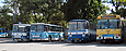Автобусы 119-го маршрута в открытом парке ОАО "АТП-16327"