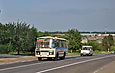 ПАЗ-32054 гос.# AX3478AH на автодороге Киев - Харьков - Довжанский в составе школьной колонны проезжает Каменную Яругу