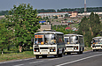 ПАЗ-32054 гос.# AX7857AH  на автодороге Киев - Харьков - Довжанский в составе школьной колонны проезжает Каменную Яругу