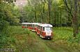 Tatra-T3SU #589-590 23-го маршрута заходит на конечную "Станция Лосево"