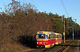 Tatra-T3SU #688-689 26-го маршрута на улице Героев труда в районе остановки "Сосновый бор"
